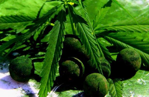 sbs tactical bait products - 11750314285132706003991602427738n.jpg